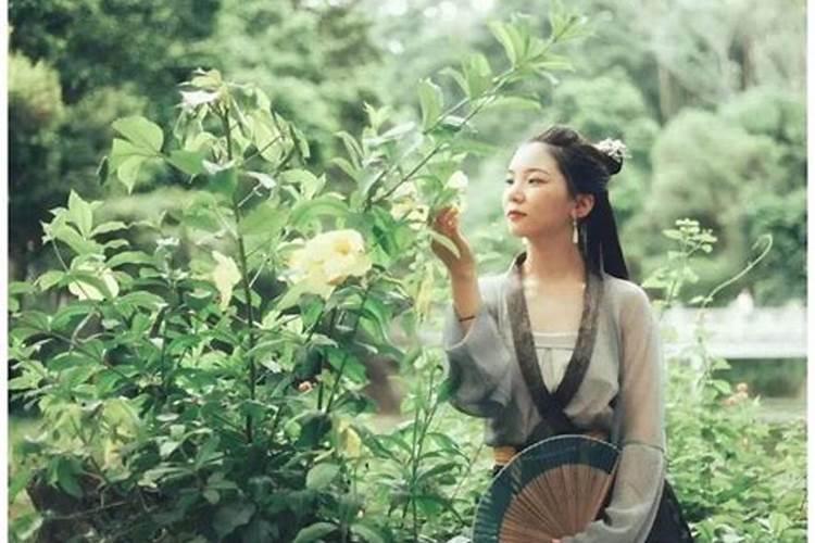 95属猪女人婚姻命运,属猪的女人姻缘命运如何？