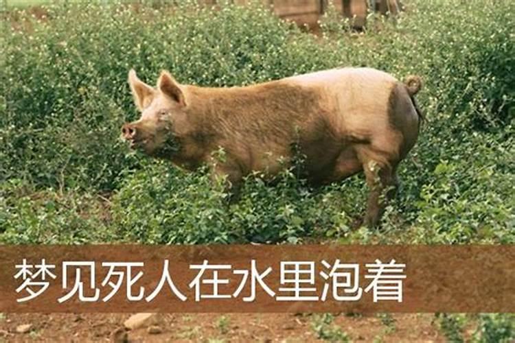 求一首歌:好象是高耀太的火花
