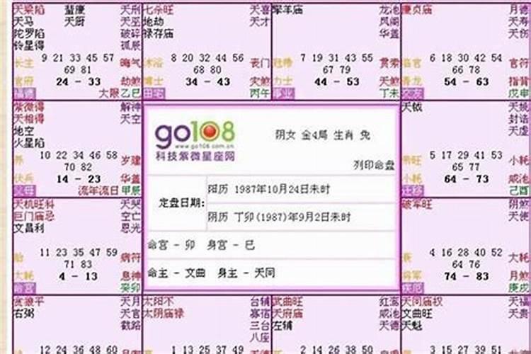 命主禄存什么意思？