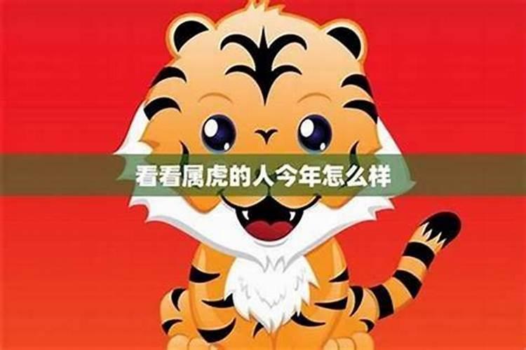 62年出生,属虎,女,正月十五下午出生,是属什么命？适合配带什么材质饰品...