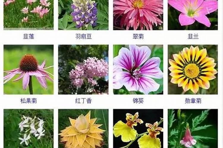支南岳圣帝灵签,求解签!