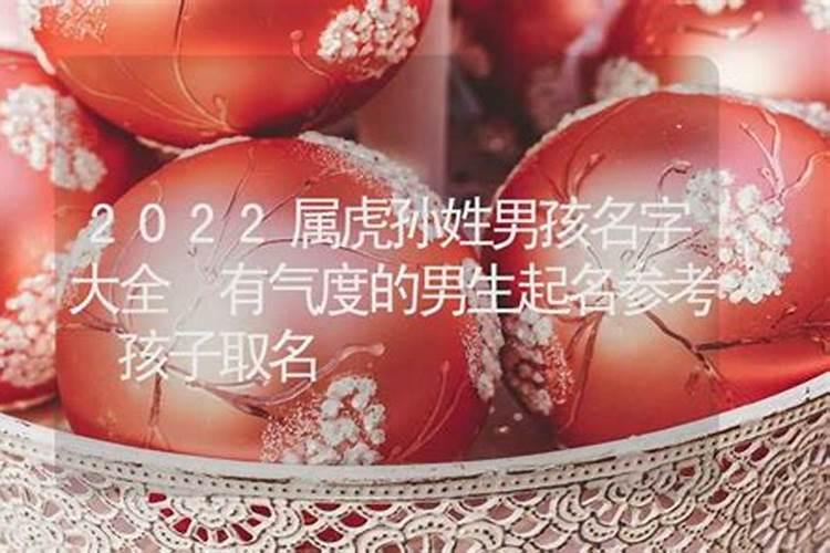 姓孙的男孩起什么名好1490个,孙姓男孩名字大全2022属虎