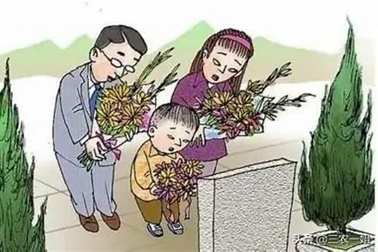 冬至节气代表性植物