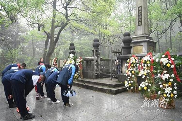 冬至节气代表性植物