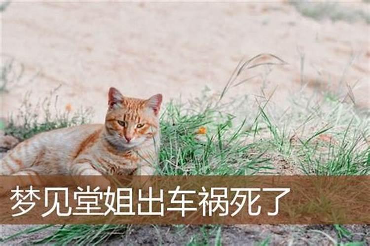 梦见妹妹撞车死了有什么预兆？是什么意思？