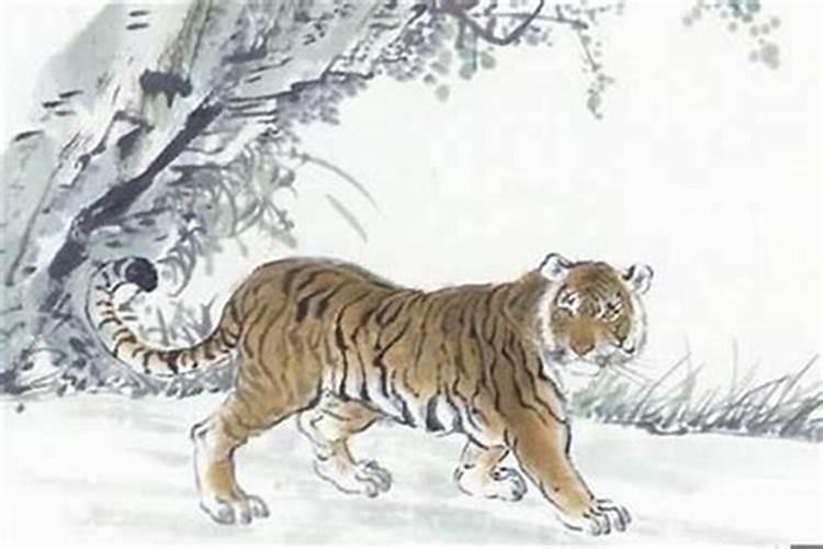 生辰八字看寿命