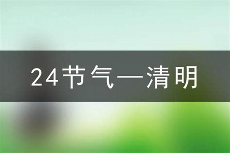 清明节是几月几日有什么风俗
