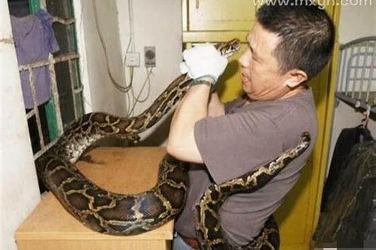 男人梦见蛇缠身是什么预兆