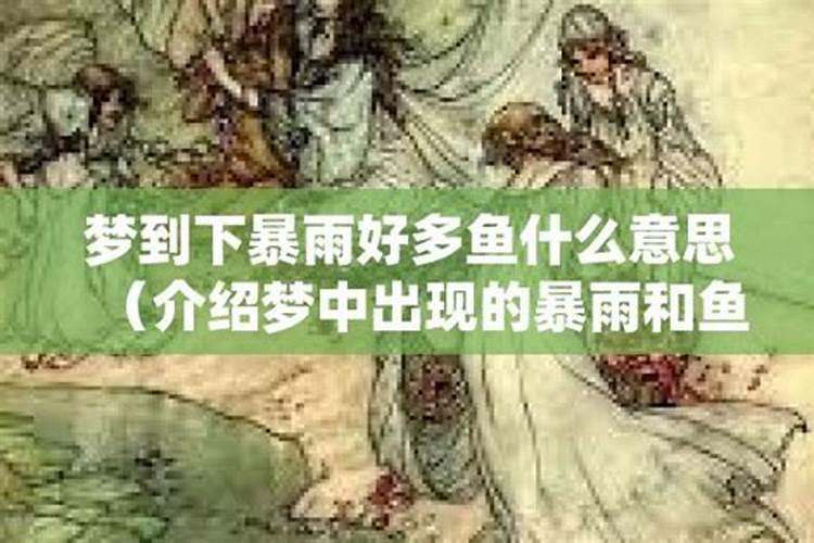 周公解梦梦见雨后到处好多鱼