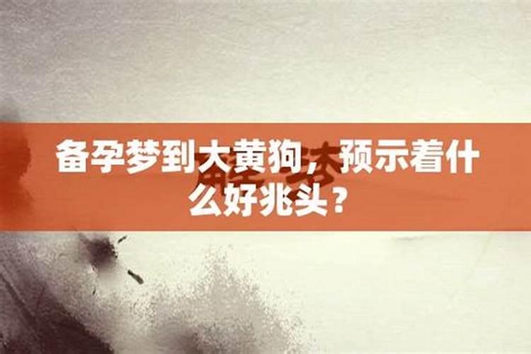 备孕梦到狗是不是胎梦