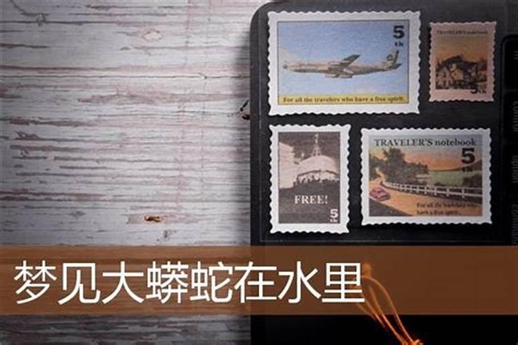 梦见蟒蛇在水里是什么兆头？