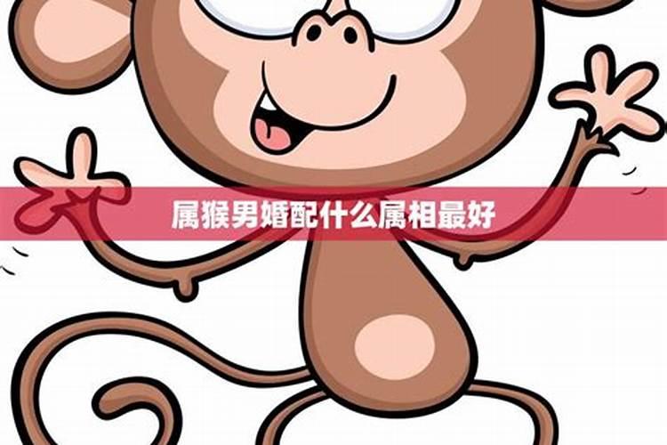 梦到和别人同骑一匹马梦见和别人同骑一匹马是什么预兆