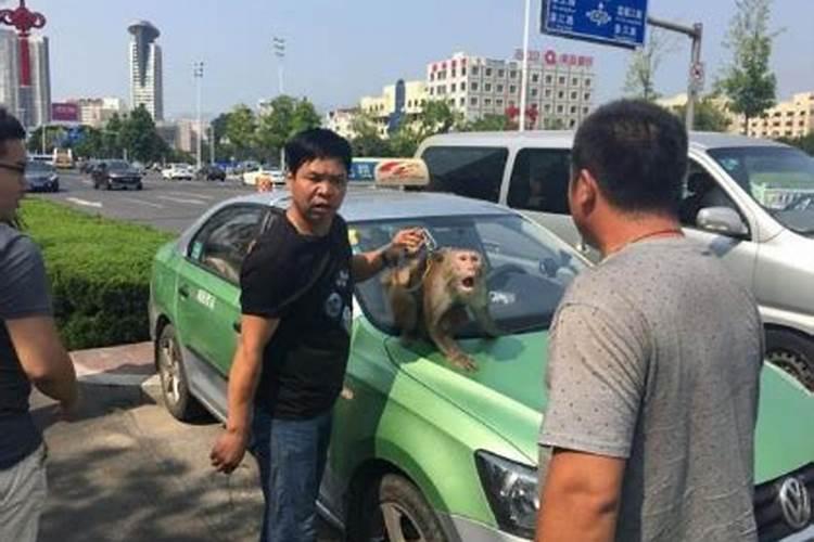 做梦梦到做公交车出车祸