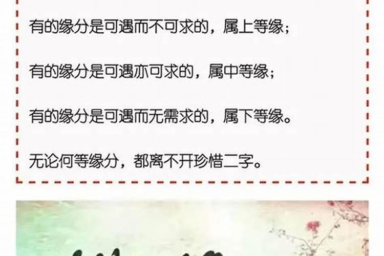 算命中上等婚姻是什么意思