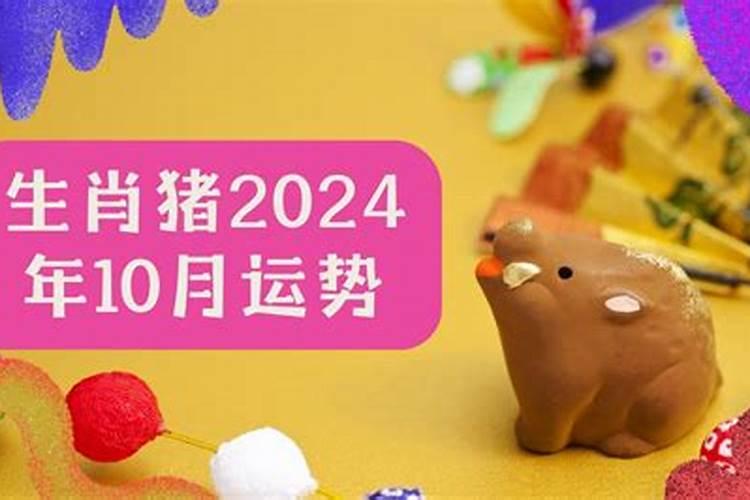 属猪人2025年全年运势运程
