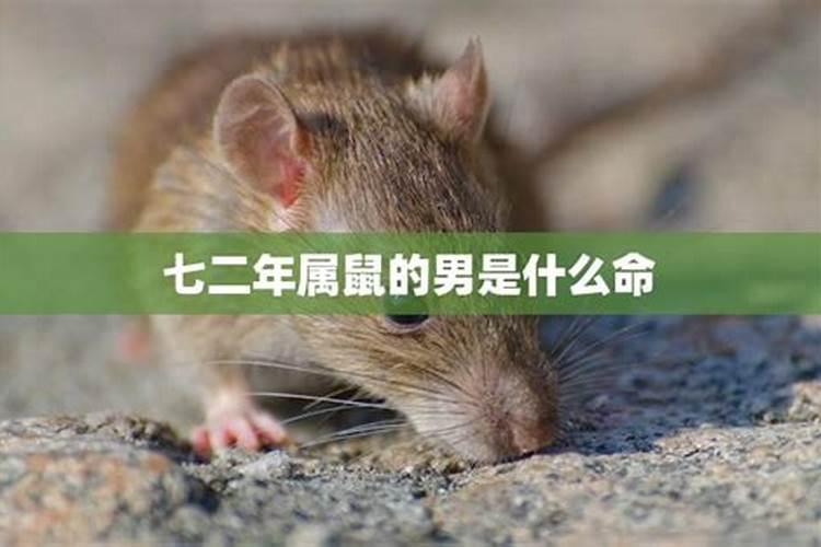 阴历1972年11月24日 6时出生的男性 求命运格局和流年运