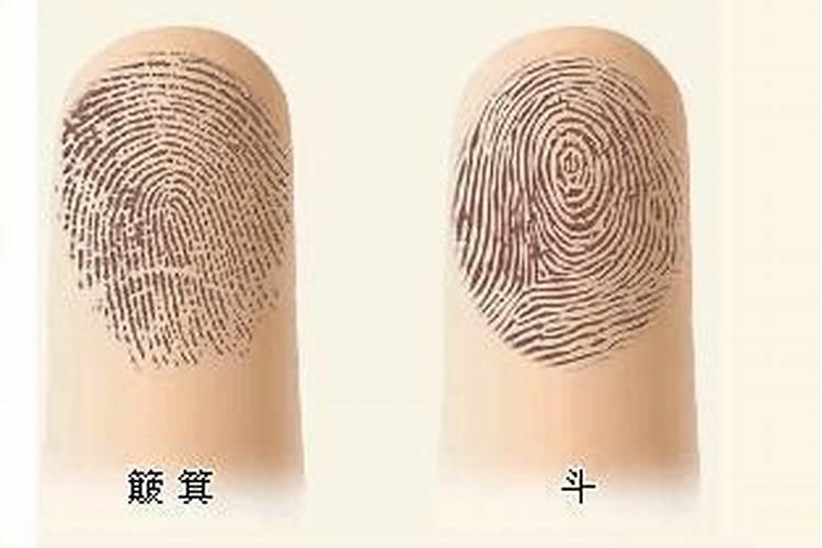 8斗的男人命运 有上进心有野心？