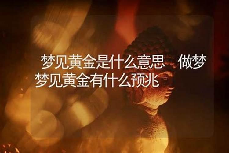 梦见金黄色凶悍的猫的预兆