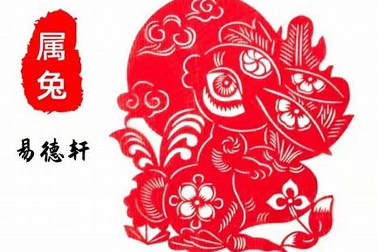 属兔的今天打麻将财运属兔的今天运势和运程？