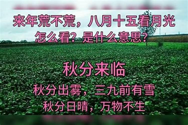 喜!秋分前后这些生肖运势暴涨