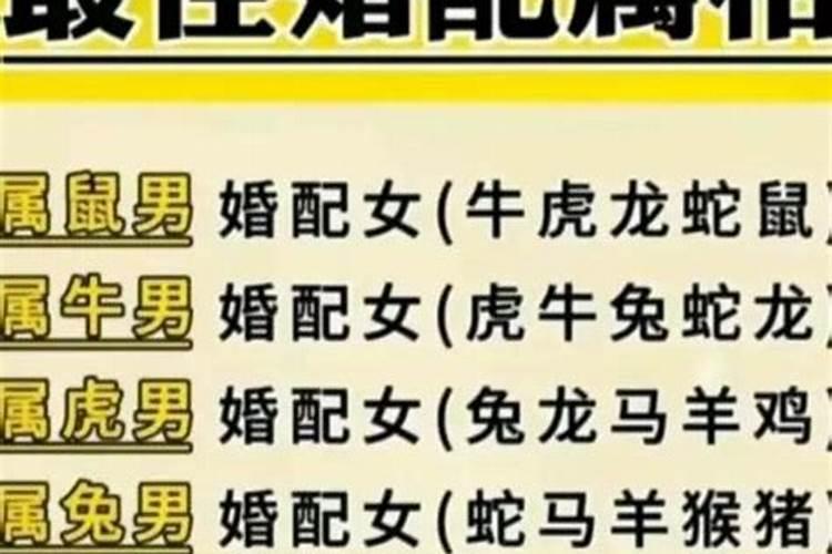 属鸡和属鼠相克吗
