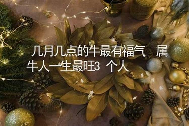 属牛人一生最旺3个人
