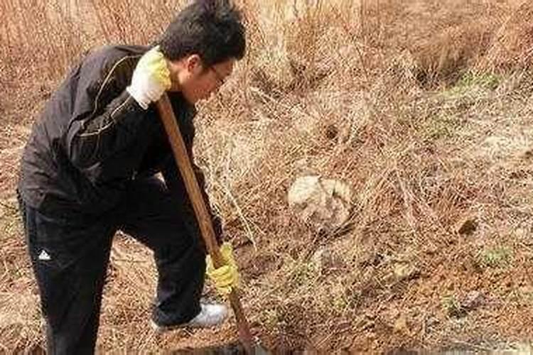 梦见梦成堆的石子的预兆