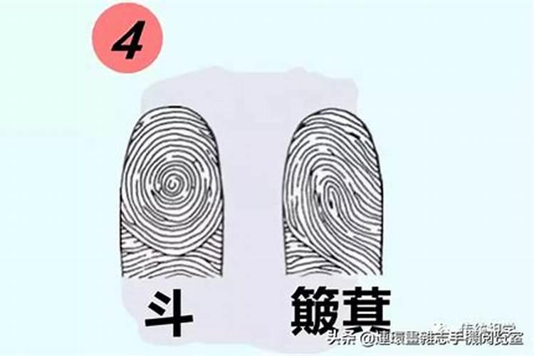 手有五斗是什么意思