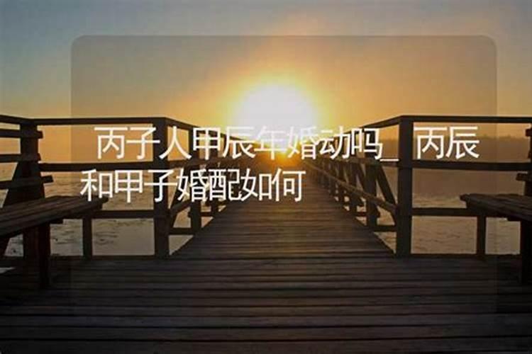 六甲日出生男女八字合婚表