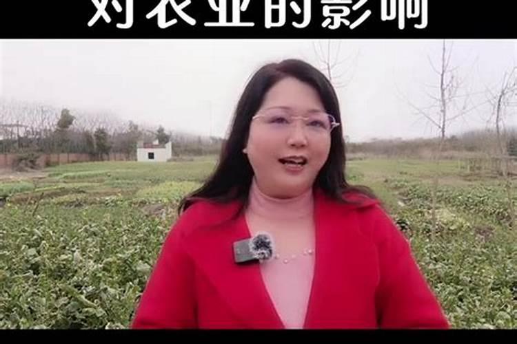 清明节为什么不能吵架