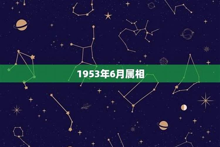 1953年属蛇的人2024年运势运程详解