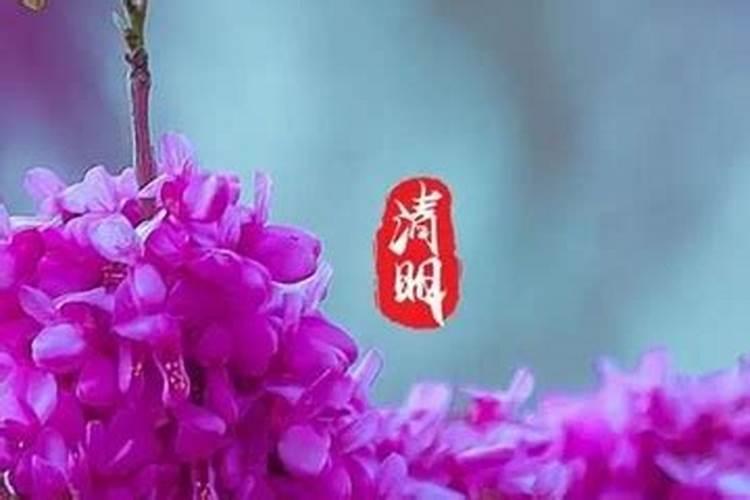 清明节的时候用什么话语给老师发祝福合适呢