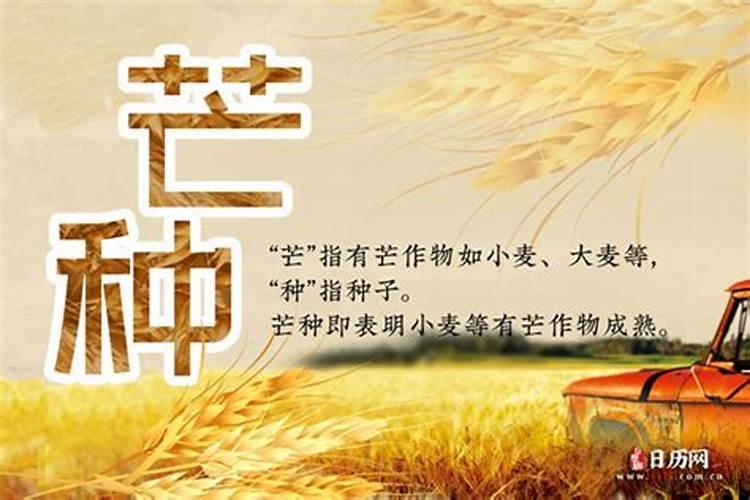 芒种是农历几月 芒种三候是哪三候