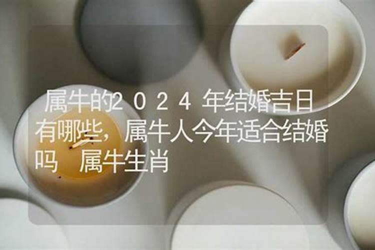 属牛本命年领证吉日,属牛和属鸡什么时候结婚最好