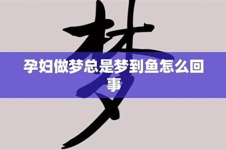 做梦梦到鱼是什么意思周公解梦梦到鱼的意思是什么