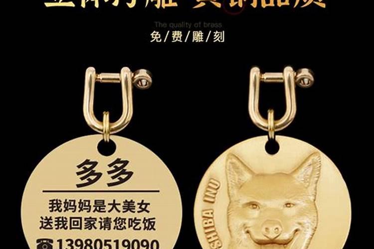 狗丢了预示着人要走吗