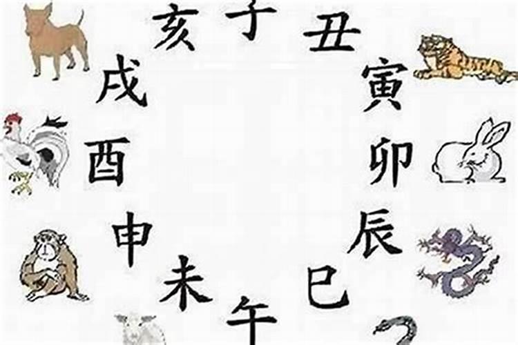 12生肖哪个是小人
