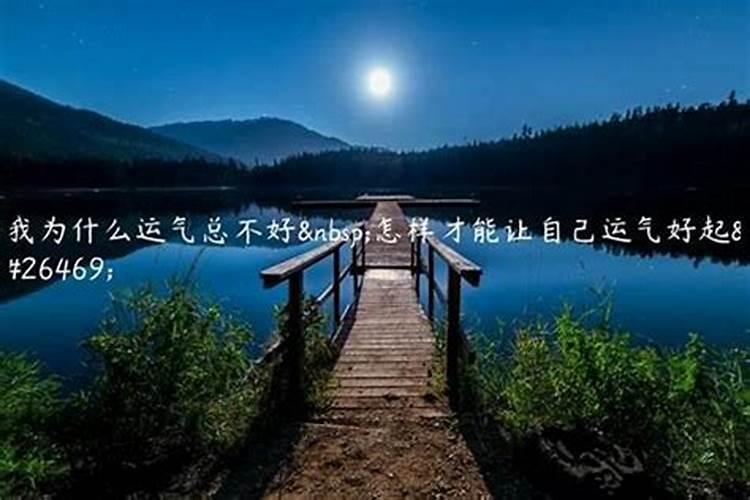 2025年82年狗女的全年运势如何