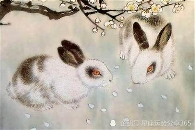 87年什么命,我是农历9月初9的