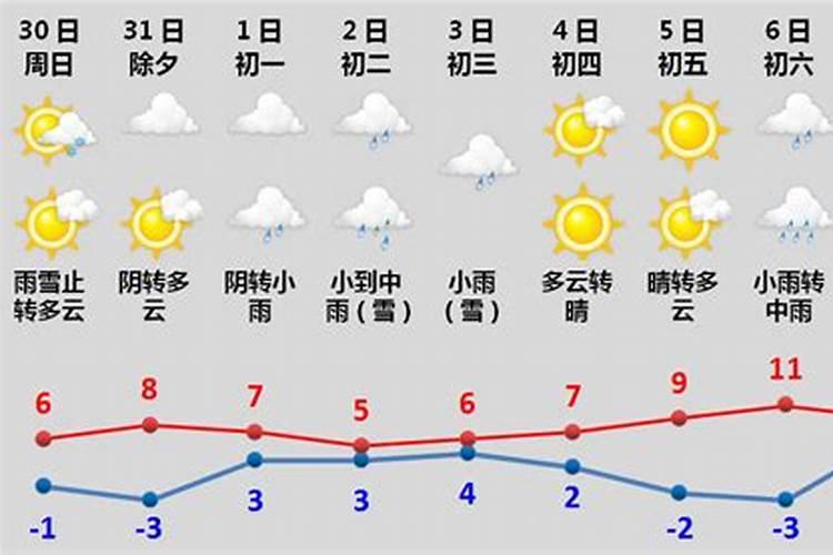今年猪年的运势怎么样2025年