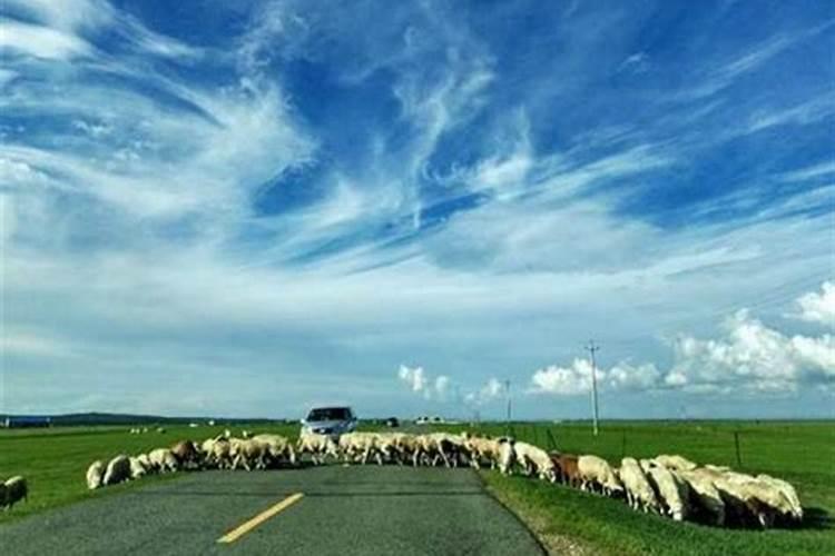 内蒙古十大端午旅游景点排行榜 内蒙古端午节游玩好去处有哪些百度知 ...