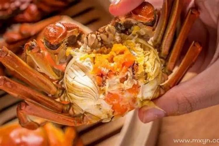 梦见大闸蟹是什么意思(螃蟹的寓意和象征)