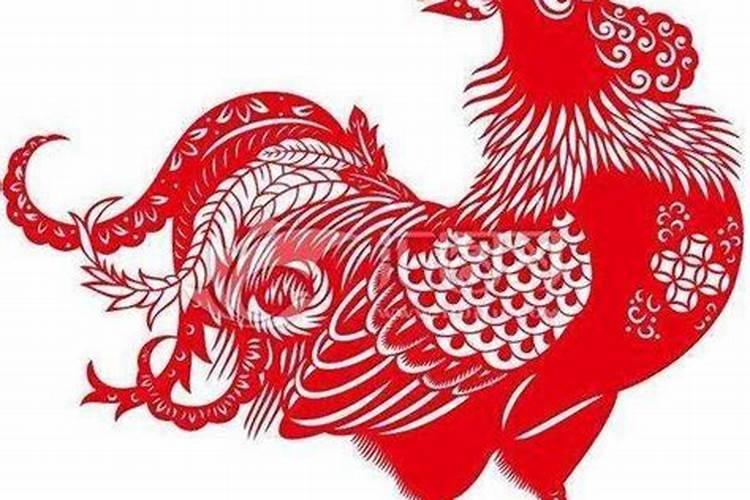 鸡狗八字有合的吗金鸡玉犬破解之法
