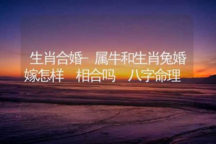 女牛年男兔年做夫妻八字合吗