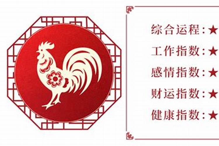 1981年属鸡人的命运