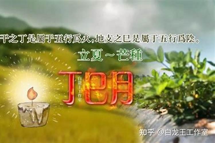 八字算婚姻 丁巳日柱和戊申合吗？
