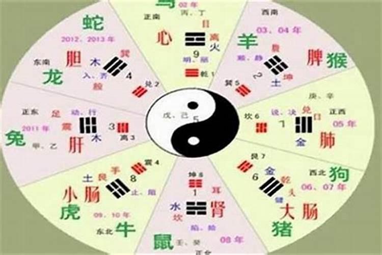 1972年的鼠是什么命