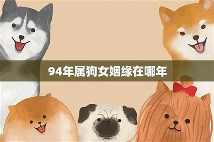 82年属狗女在2022年冬至月运势