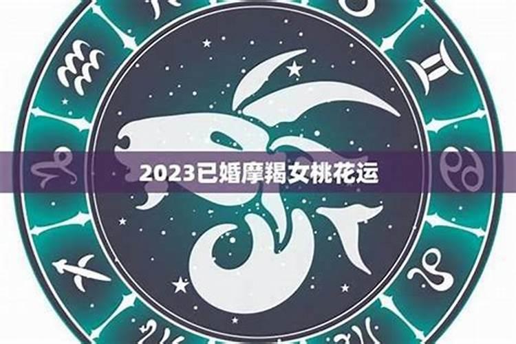 流年桃花是什么意思