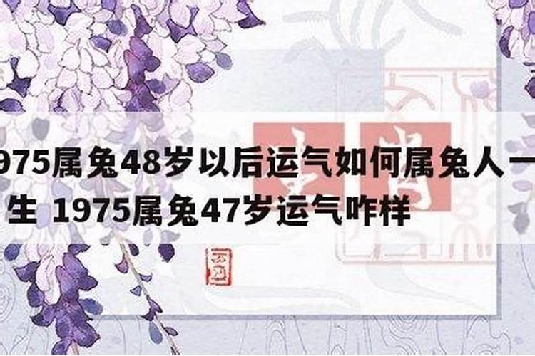 公历1975年1月11日出生的女人运势如何